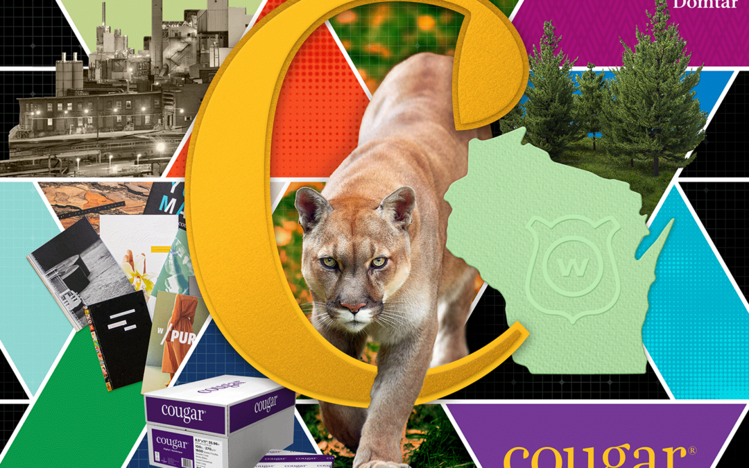 Cougar® Paper: One of the Coolest Products We Make